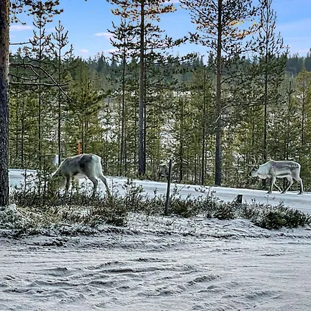 Lumomarja By Interhome Casa vacanze Pyhätunturi