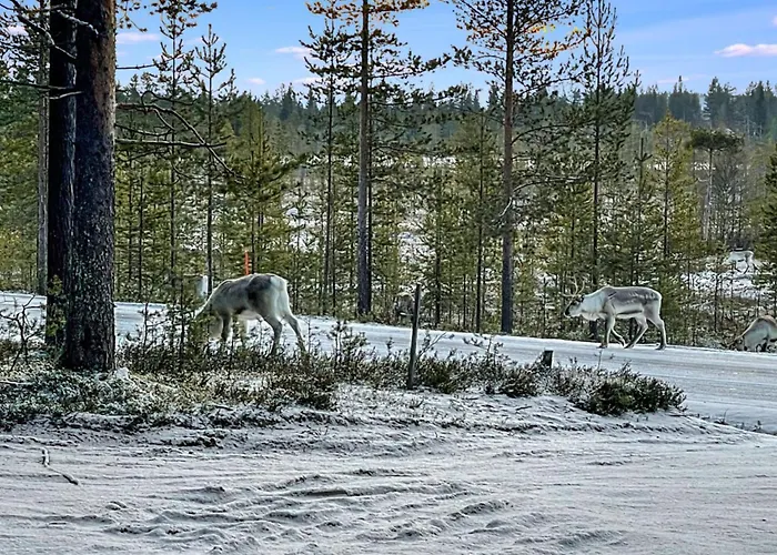 Lumomarja By Interhome Semesterbostad