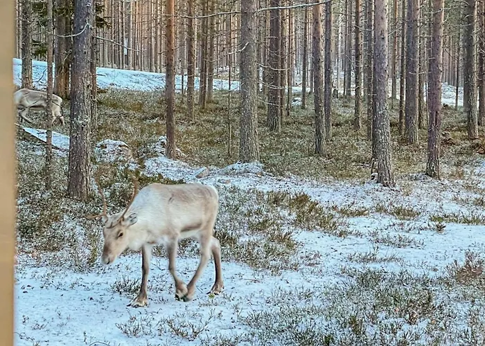 Lumomarja By Interhome Semesterbostad